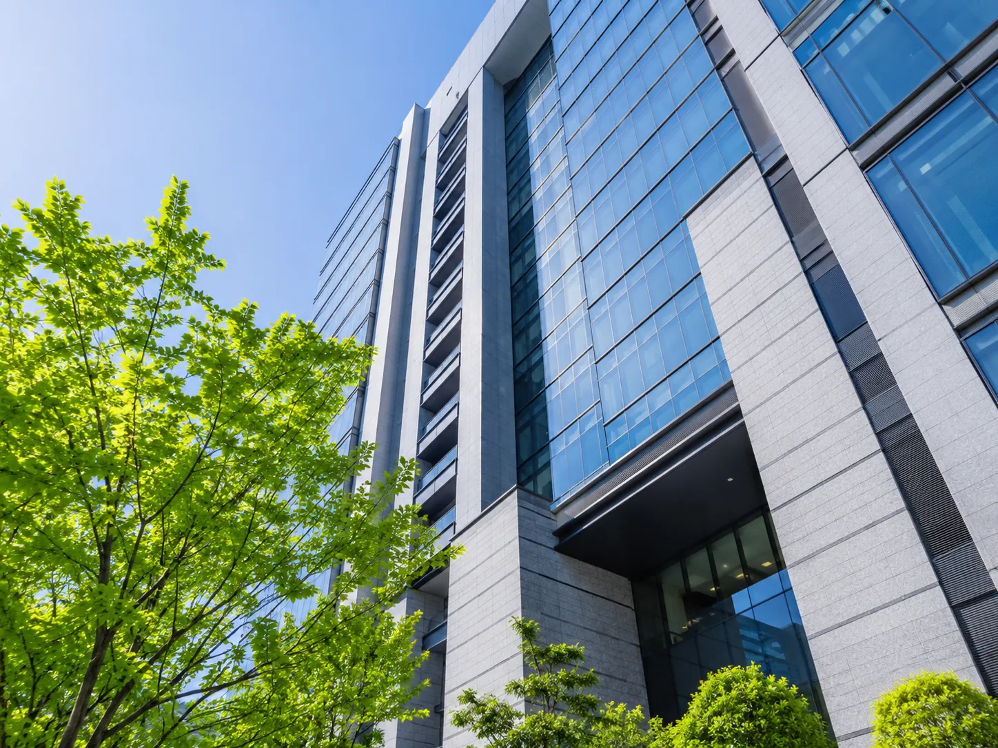 新規取引先となる企業を確認するイメージ